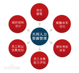 鄭州社保公積金代理、勞務(wù)派遣及人事外包服務(wù)市場(chǎng)概況